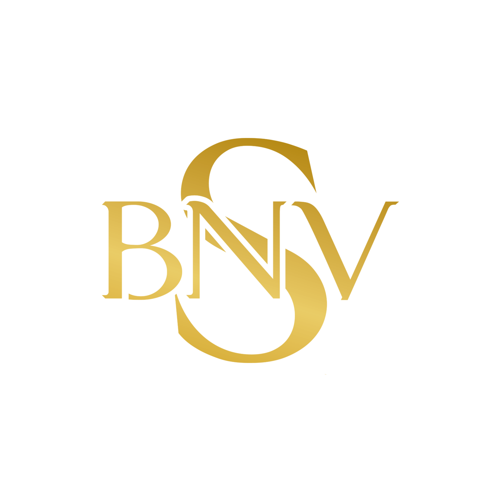 SBNV Consulting LLC